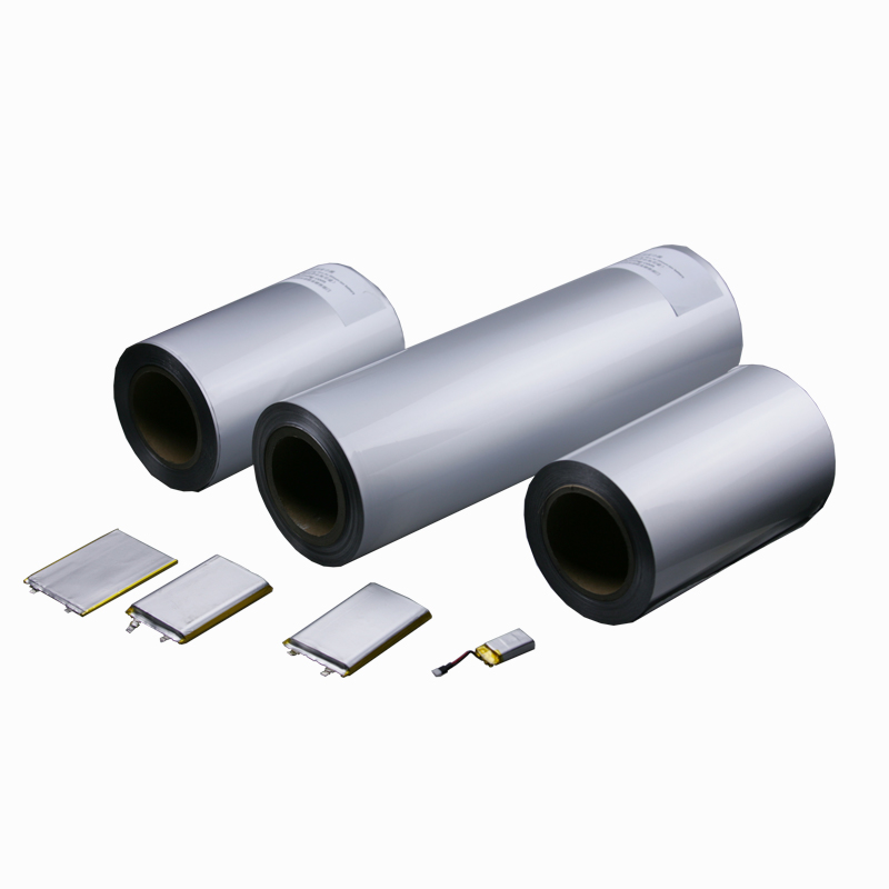 DM-L113T Silver Aluminum Plastic Composite Film (PET)