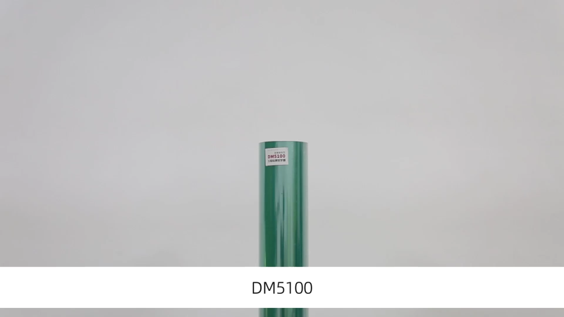 DM5100